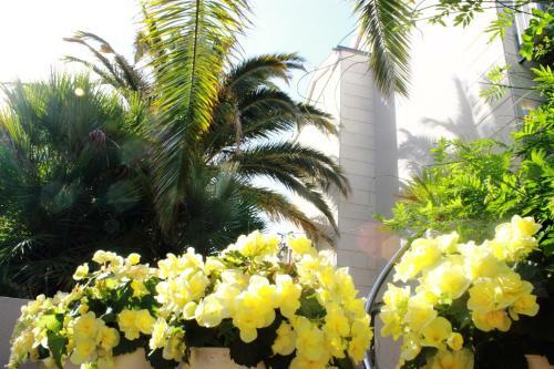Apartamento Villa Romana