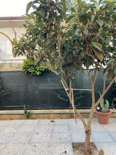 Apartamento Nespola 14