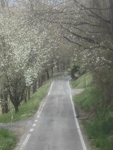 Apartamento Cianica - Lovely Studio Flat (monolocale)