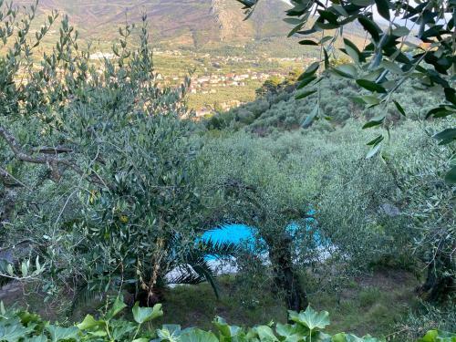 Villa Podere Par Di Rota