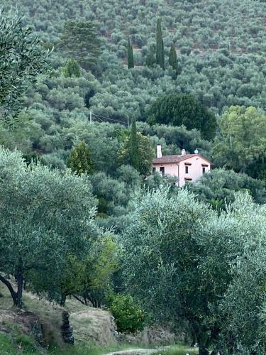 Villa Podere Par Di Rota