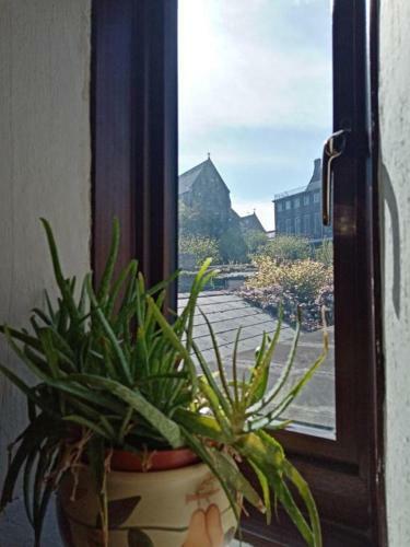 Townhouse Wexford