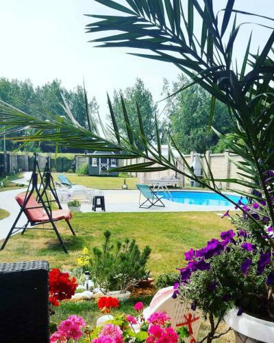 Villa Top House