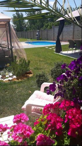 Villa Top House