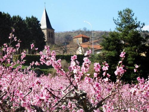 Apartment Caradoc Dans Un Chateau En Ardeche Saint Prix