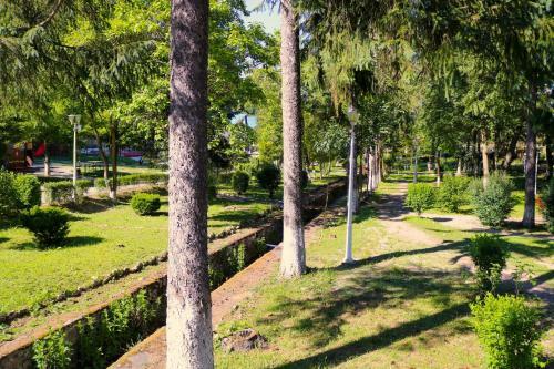 Apartament Iulia