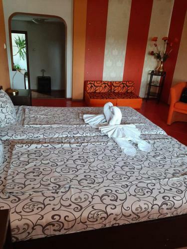 Posada Dreams Snagov