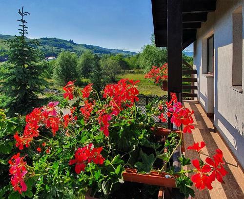 Villa Vila Flora �n Gura Humorului
