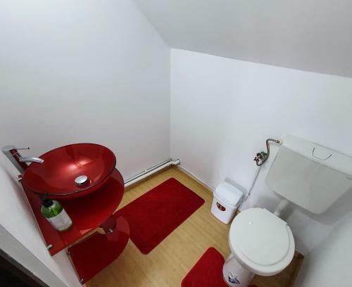 Villa Vila Flora �n Gura Humorului