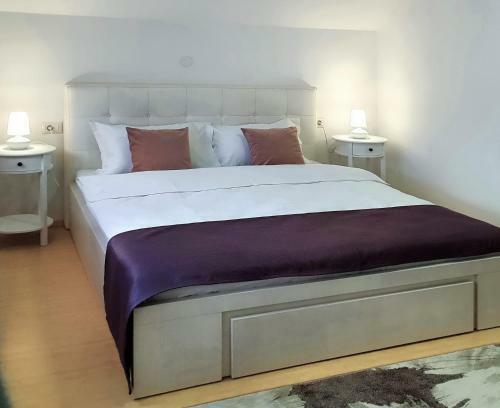 Villa Vila Flora �n Gura Humorului