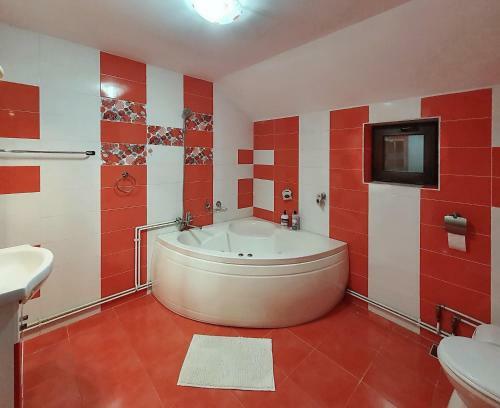 Villa Vila Flora �n Gura Humorului