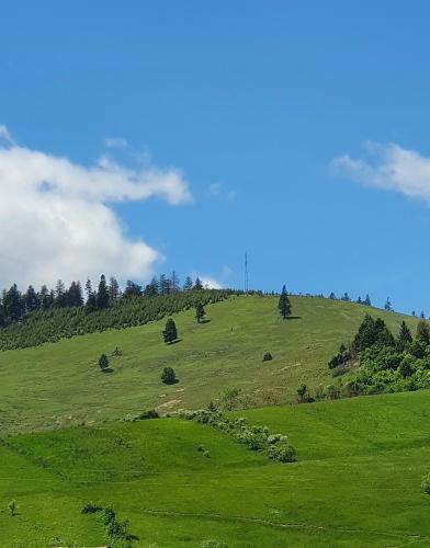 Villa Vila Flora �n Gura Humorului