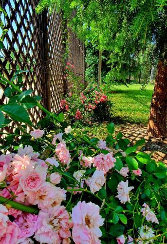 Villa Vila Flora �n Gura Humorului