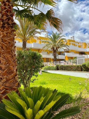 1 Bedroom Apartment Cabanas Golf 1 By Pola At Aps