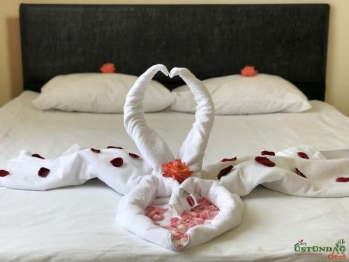 Hotel Ustundag Otel