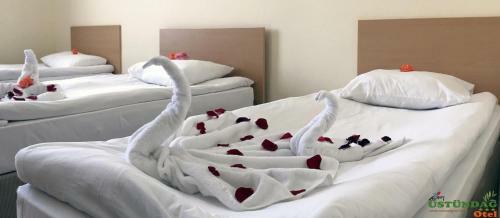 Hotel Ustundag Otel