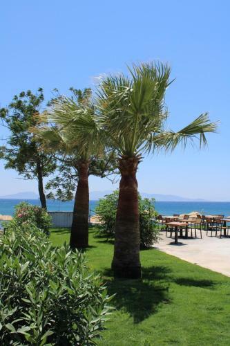 Feri Surf Club Hotel Dat�a