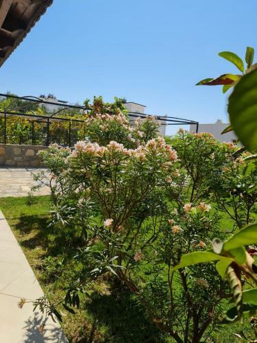 Summer Villa With Four Bedroom Three Bathroom Two Garden ???? ???? ????? ?? ???? ???? ? ???? ???? ? ??????? ?? ?????? ?????