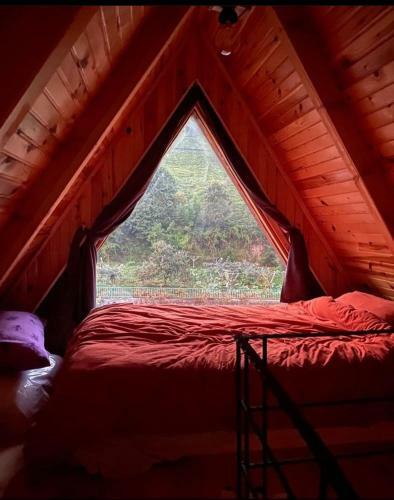 Thunderbolt Loft Bungalow