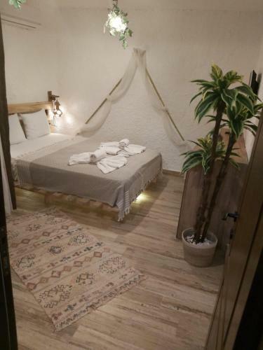 Mavi Ege Butik Otel