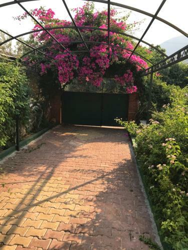 Sengul Villa
