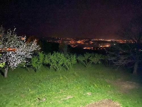 Elmal? Bah�e Sapanca