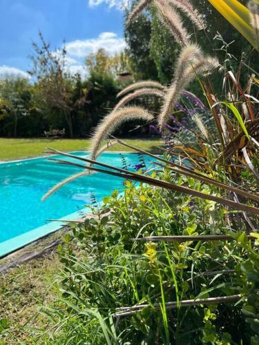 Quinta Con Pileta, Descans� A Minutos de La Ciudad