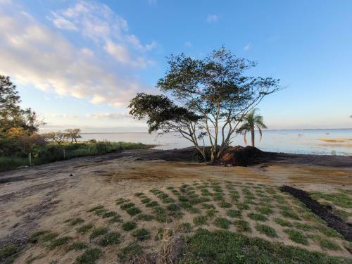 Apartamento Costa So�ada