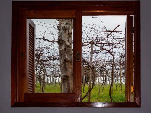 Casa de Campo Com Churrasq Em Monte Belo Do Sul Rs