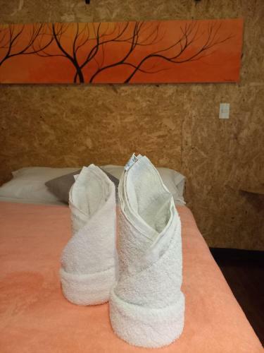 Hotel Spa Aguas Calientes