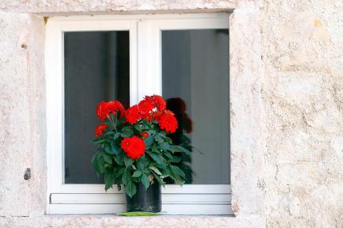 Bed & Breakfast Podere Castagne'
