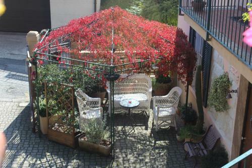 Bed & Breakfast La Terrazza Sul Monferrato
