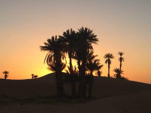 Rimal Camp