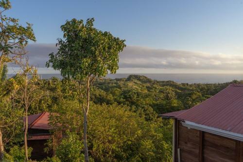 Agroturismo La Casita Del Bosque