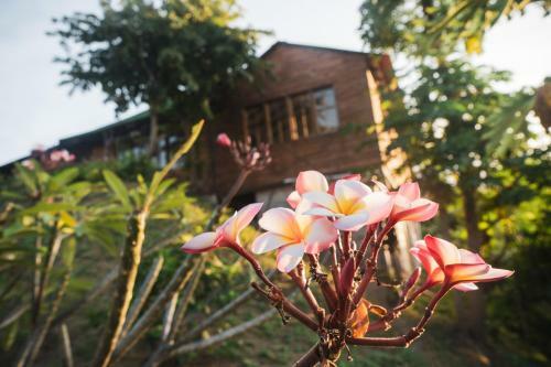 Agroturismo La Casita Del Bosque