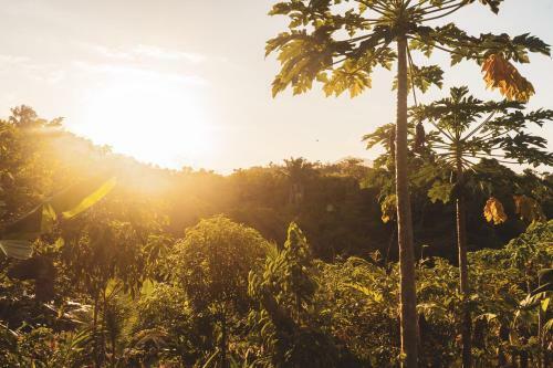 Agroturismo La Casita Del Bosque