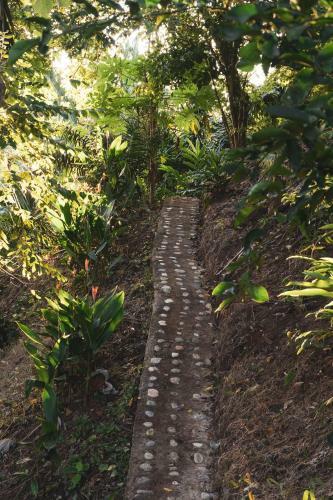 Agroturismo La Casita Del Bosque