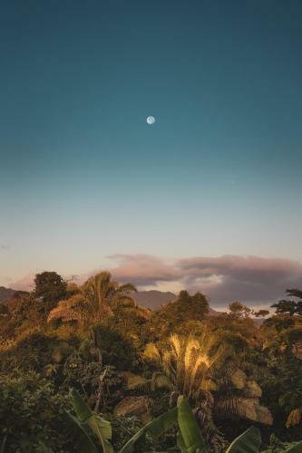 Agroturismo La Casita Del Bosque