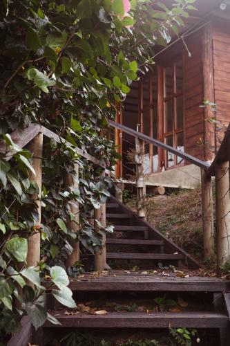 Agroturismo La Casita Del Bosque