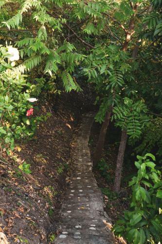 Agroturismo La Casita Del Bosque