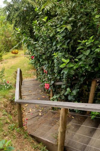 Agroturismo La Casita Del Bosque