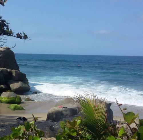 Caba�a Tayrona