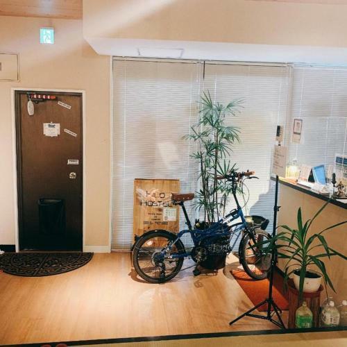 Hilo Hostel - Vacation Stay 64944v