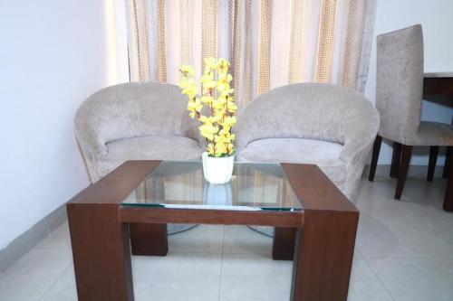 Art India Hotels
