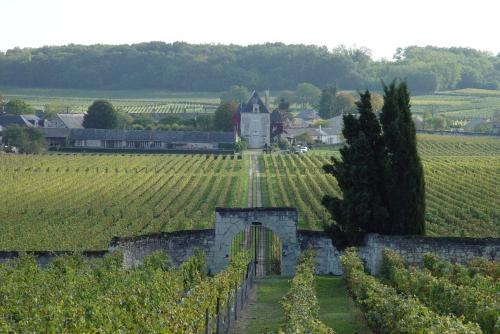 Gite Chateau De Chaintres