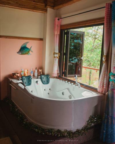 Shenanigans Glamping Resort