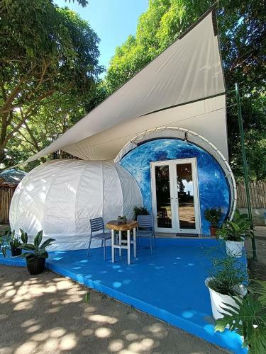 Shenanigans Glamping Resort