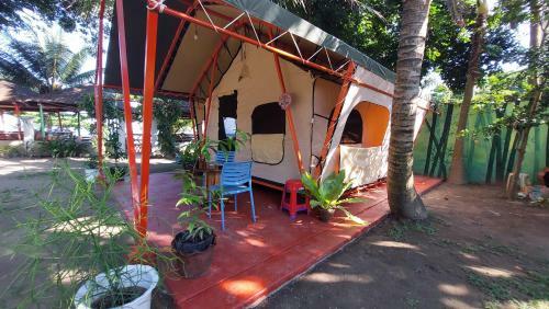 Shenanigans Glamping Resort
