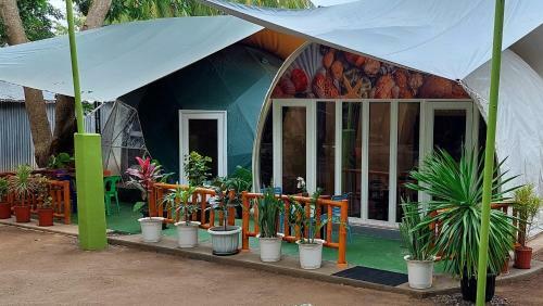 Shenanigans Glamping Resort