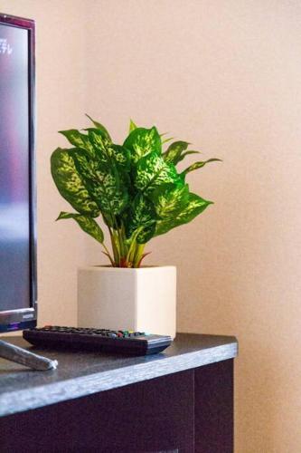 Apartamento Commence ?